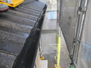 IMG_0697