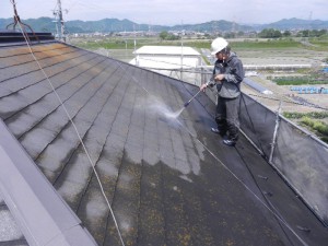 DSCN1252