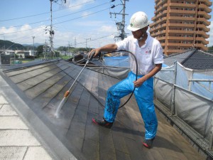 IMG_1560