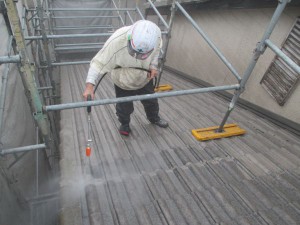 IMG_0555