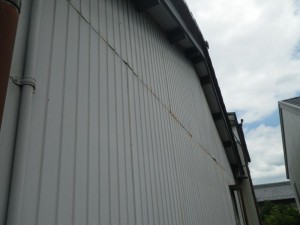 IMGP2721
