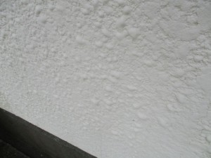 迴ｾ隱ｿ-邵ｮ蟆十IMG_0385