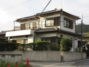 IMG_7237